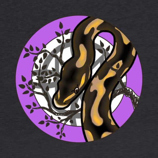 Royal Python Normal morph by CelticDragoness